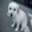 sample_image_30
